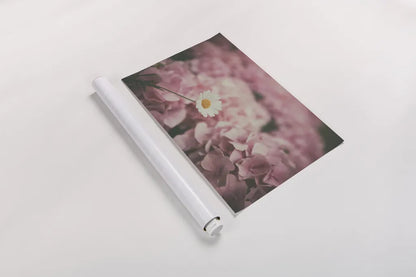 Daisy Dreams by Aledanda. shown as a rolled paper print. Available as archival giclee rolled canvas, fine art paper, or poster print. SKU 63214i.