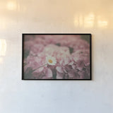 Daisy Dreams by Aledanda. shown as a paper print in a black flame. Available as a archival giclee rolled canvas, fine art paper, or poster print. SKU 63214i.