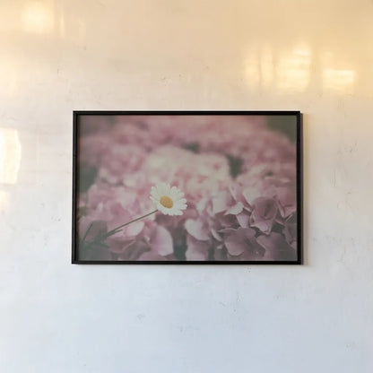 Daisy Dreams by Aledanda. shown as a paper print in a black flame. Available as a archival giclee rolled canvas, fine art paper, or poster print. SKU 63214i.