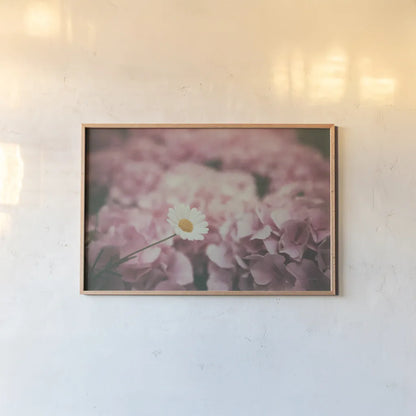 Daisy Dreams by Aledanda. shown as a paper print in a natural frame. Available as a archival giclee rolled canvas, fine art paper, or poster print. SKU 63214i.