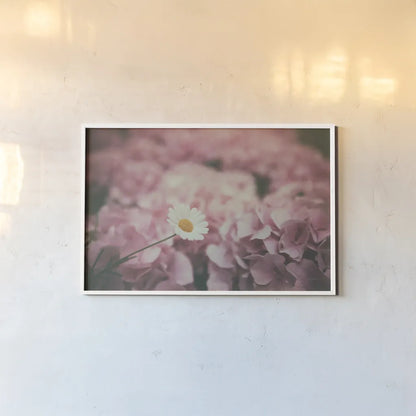 Daisy Dreams by Aledanda. shown as a paper print in a white frame. Available as a archival giclee rolled canvas, fine art paper, or poster print. SKU 63214i.