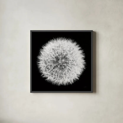 Dandelion on Black I by Aledanda. Shown in a sleek black glass frame for a contemporary gallery look. Available as an archival giclee rolled canvas, fine art paper, or poster print. SKU 55250a.