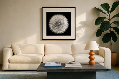 Dandelion on Black I by Aledanda. Displayed in a glass frame with matte in a clean modern living room. Available as an archival giclee rolled canvas, fine art paper, or poster print. SKU 55250a.
