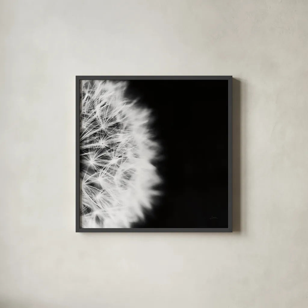 Dandelion on Black II by Aledanda. Shown in a sleek black glass frame for a contemporary gallery look. Available as an archival giclee rolled canvas, fine art paper, or poster print. SKU 55251a.
