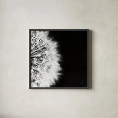 Dandelion on Black II by Aledanda. Shown in a sleek black glass frame for a contemporary gallery look. Available as an archival giclee rolled canvas, fine art paper, or poster print. SKU 55251a.