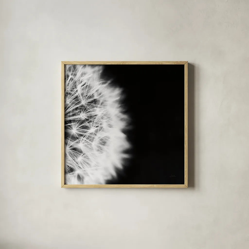 Dandelion on Black II by Aledanda. Shown in a natural wood glass frame for a timeless modern aesthetic. Available as an archival giclee rolled canvas, fine art paper, or poster print. SKU 55251a.