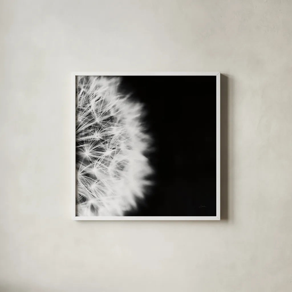 Dandelion on Black II by Aledanda. Shown in a crisp white glass frame for a clean and minimalist style. Available as an archival giclee rolled canvas, fine art paper, or poster print. SKU 55251a.