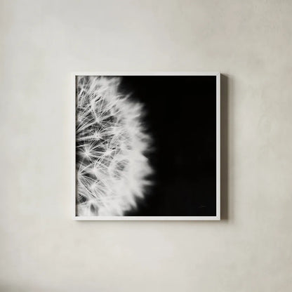 Dandelion on Black II by Aledanda. Shown in a crisp white glass frame for a clean and minimalist style. Available as an archival giclee rolled canvas, fine art paper, or poster print. SKU 55251a.