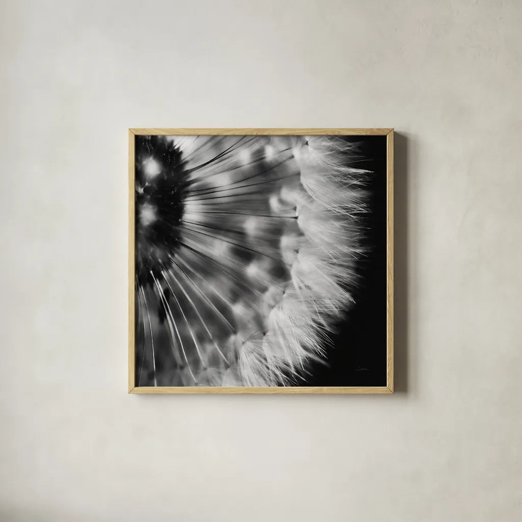 Dandelion on Black III by Aledanda. Shown in a natural wood glass frame for a timeless modern aesthetic. Available as an archival giclee rolled canvas, fine art paper, or poster print. SKU 55252a.