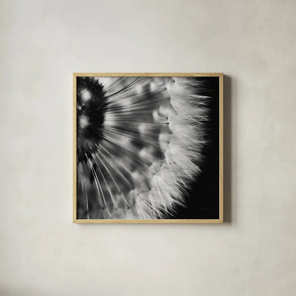 Dandelion on Black III by Aledanda. Shown in a natural wood glass frame for a timeless modern aesthetic. Available as an archival giclee rolled canvas, fine art paper, or poster print. SKU 55252a.