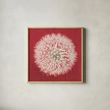 Dandelion on Red I by Aledanda. Shown in a natural wood glass frame for a timeless modern aesthetic. Available as an archival giclee rolled canvas, fine art paper, or poster print. SKU 55244a.