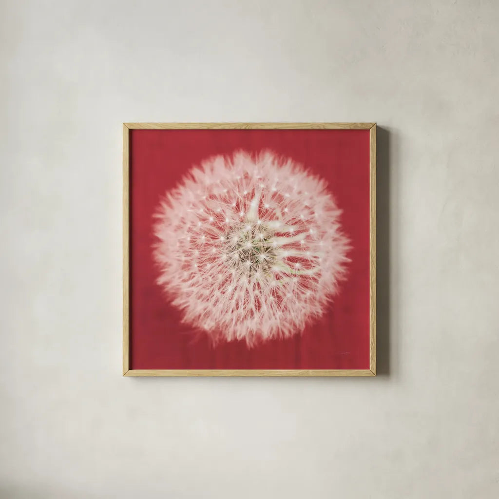 Dandelion on Red I by Aledanda. Shown in a natural wood glass frame for a timeless modern aesthetic. Available as an archival giclee rolled canvas, fine art paper, or poster print. SKU 55244a.