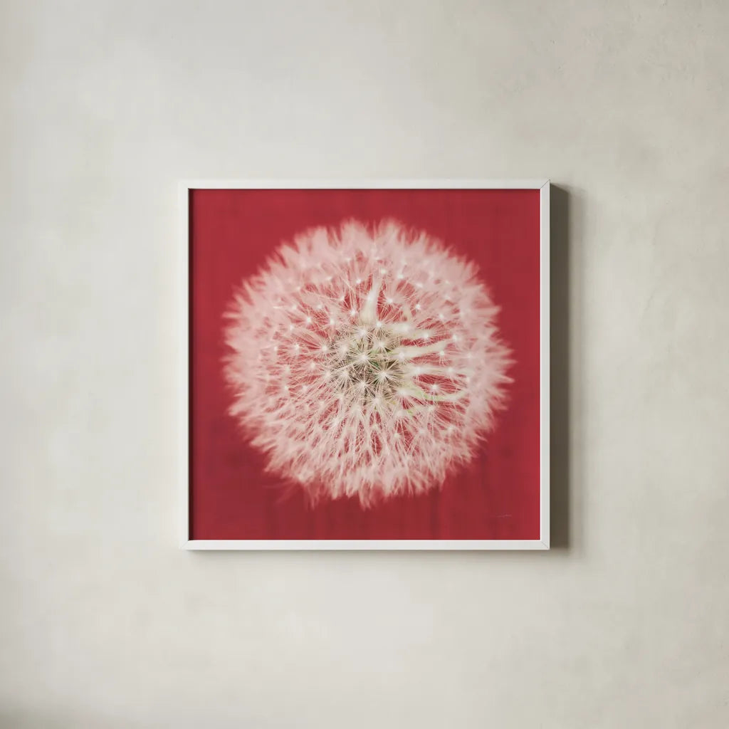 Dandelion on Red I by Aledanda. Shown in a crisp white glass frame for a clean and minimalist style. Available as an archival giclee rolled canvas, fine art paper, or poster print. SKU 55244a.