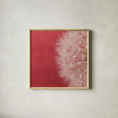 Dandelion on Red II by Aledanda. Shown in a natural wood glass frame for a timeless modern aesthetic. Available as an archival giclee rolled canvas, fine art paper, or poster print. SKU 55245a.