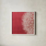 Dandelion on Red II by Aledanda. Shown in a crisp white glass frame for a clean and minimalist style. Available as an archival giclee rolled canvas, fine art paper, or poster print. SKU 55245a.