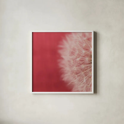 Dandelion on Red II by Aledanda. Shown in a crisp white glass frame for a clean and minimalist style. Available as an archival giclee rolled canvas, fine art paper, or poster print. SKU 55245a.