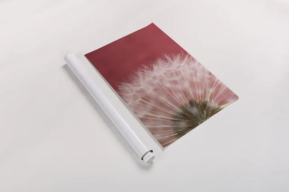 Dandelion on Red III by Aledanda. shown as a rolled paper print. Available as archival giclee rolled canvas, fine art paper, or poster print. SKU 55246i.