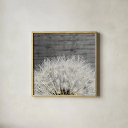 Delicate Dandelion by Aledanda. Shown in a natural wood glass frame for a timeless modern aesthetic. Available as an archival giclee rolled canvas, fine art paper, or poster print. SKU 55305a.