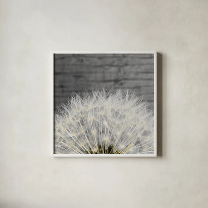 Delicate Dandelion by Aledanda. Shown in a crisp white glass frame for a clean and minimalist style. Available as an archival giclee rolled canvas, fine art paper, or poster print. SKU 55305a.