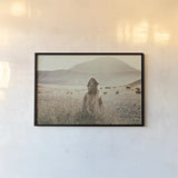 Desert Camel by Aledanda. shown as a paper print in a black flame. Available as a archival giclee rolled canvas, fine art paper, or poster print. SKU 63225i.