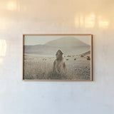 Desert Camel by Aledanda. shown as a paper print in a natural frame. Available as a archival giclee rolled canvas, fine art paper, or poster print. SKU 63225i.