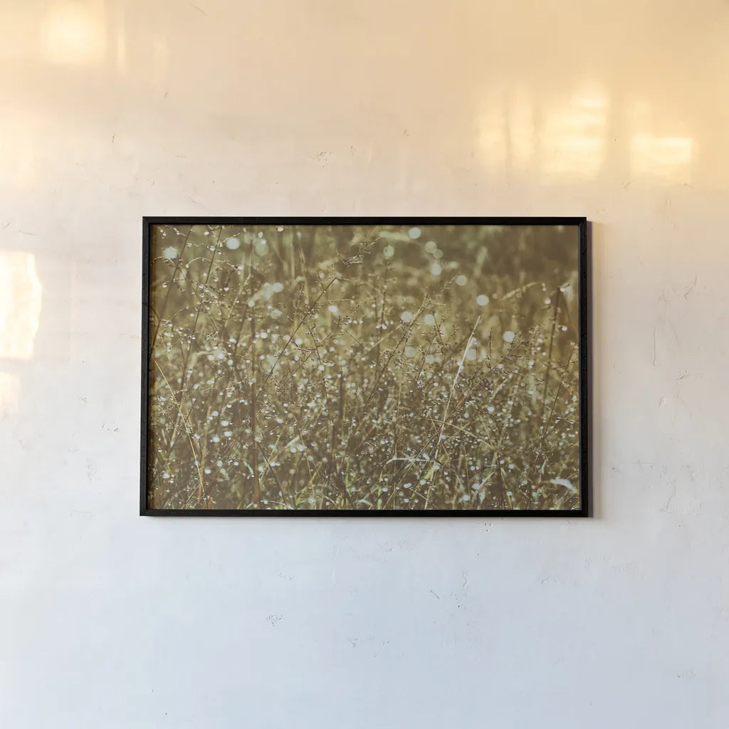 Dew on Grasses by Aledanda. shown as a paper print in a black flame. Available as a archival giclee rolled canvas, fine art paper, or poster print. SKU 63215i.