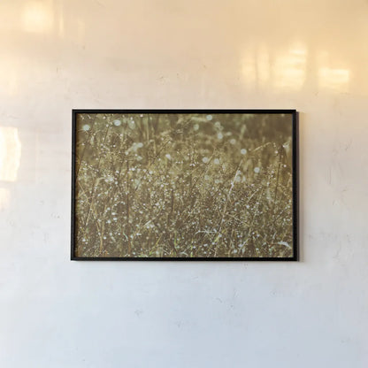 Dew on Grasses by Aledanda. shown as a paper print in a black flame. Available as a archival giclee rolled canvas, fine art paper, or poster print. SKU 63215i.