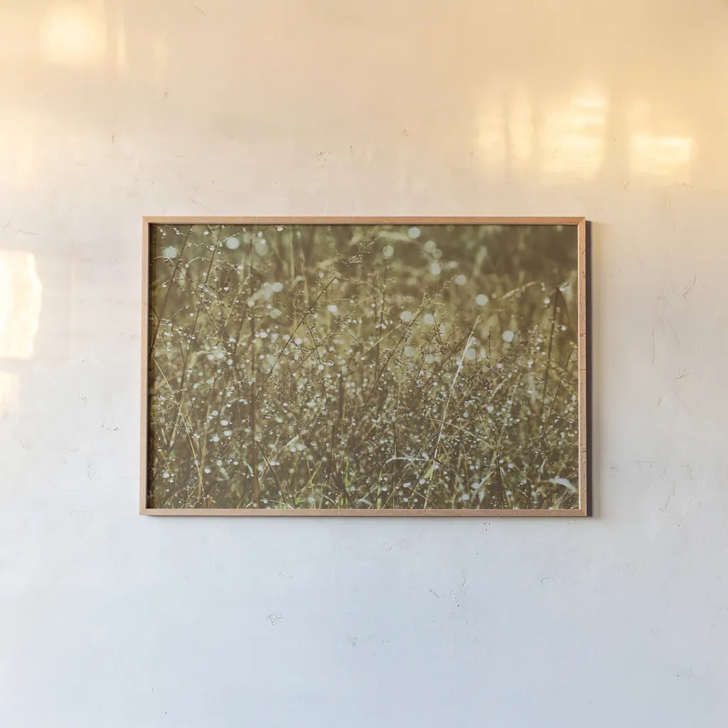 Dew on Grasses by Aledanda. shown as a paper print in a natural frame. Available as a archival giclee rolled canvas, fine art paper, or poster print. SKU 63215i.