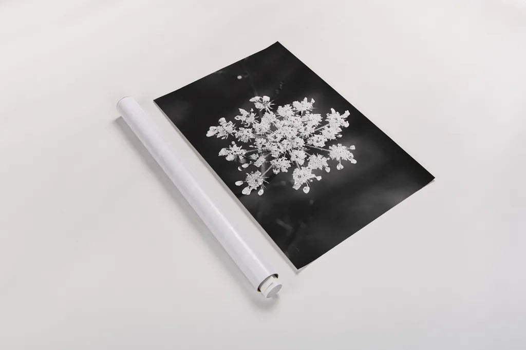 Diamond Brooch by Aledanda. shown as a rolled paper print. Available as archival giclee rolled canvas, fine art paper, or poster print. SKU 55298i.