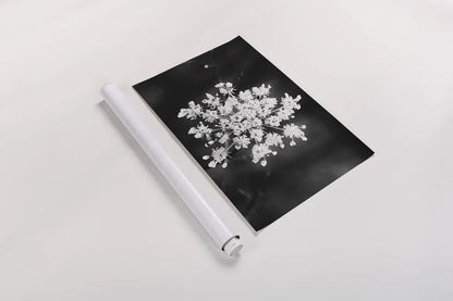 Diamond Brooch by Aledanda. shown as a rolled paper print. Available as archival giclee rolled canvas, fine art paper, or poster print. SKU 55298i.