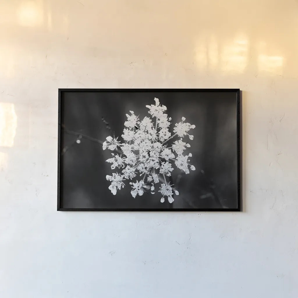 Diamond Brooch by Aledanda. shown as a paper print in a black flame. Available as a archival giclee rolled canvas, fine art paper, or poster print. SKU 55298i.