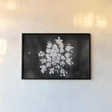 Diamond Brooch by Aledanda. shown as a paper print in a black flame. Available as a archival giclee rolled canvas, fine art paper, or poster print. SKU 55298i.