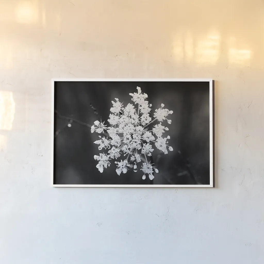 Diamond Brooch by Aledanda. shown as a paper print in a white frame. Available as a archival giclee rolled canvas, fine art paper, or poster print. SKU 55298i.