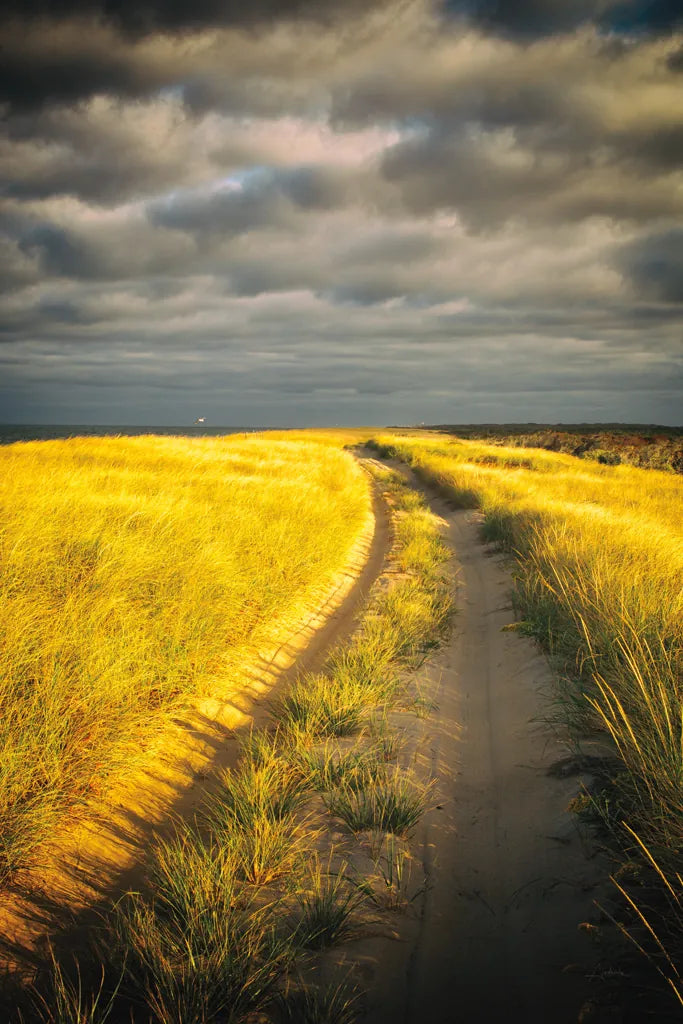 Down the Road by Aledanda. SKU 38322h. Archival Giclee Fine art print for wall decor.