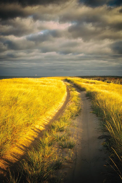 Down the Road by Aledanda. SKU 38322h. Archival Giclee Fine art print for wall decor.