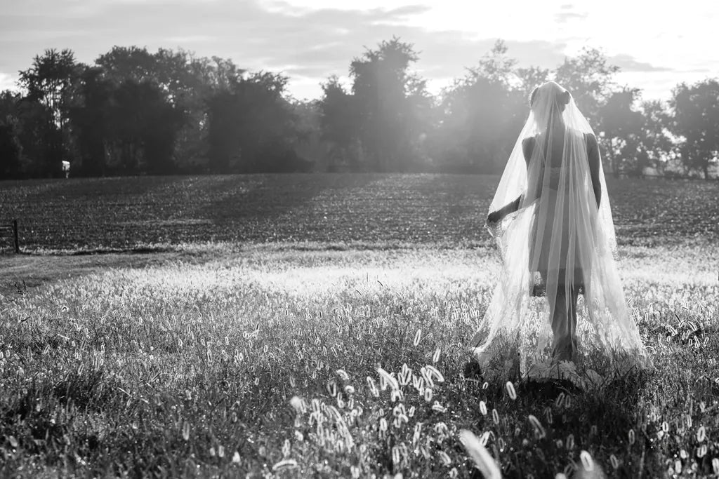 Dressing Up by Aledanda. SKU 38327i. Archival Giclee Fine art print for wall decor.