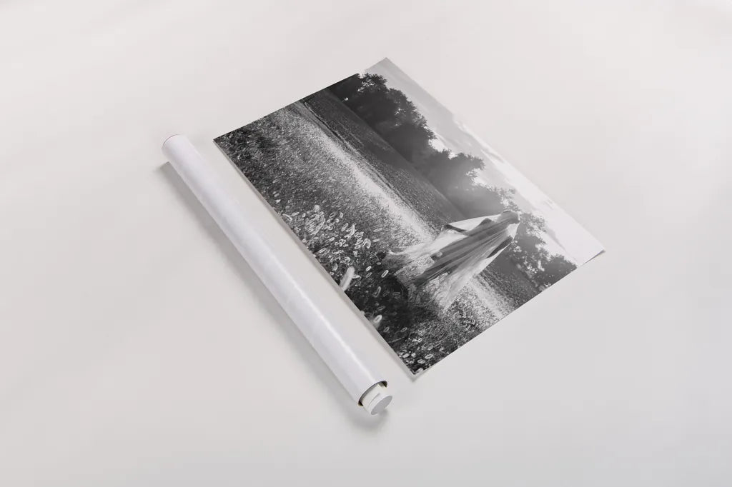 Dressing Up by Aledanda. shown as a rolled paper print. Available as archival giclee rolled canvas, fine art paper, or poster print. SKU 38327i.