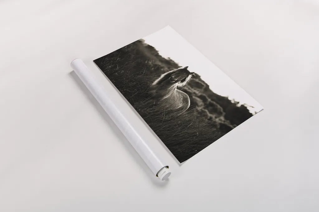 Evening Glow by Aledanda. shown as a rolled paper print. Available as archival giclee rolled canvas, fine art paper, or poster print. SKU 38298i.