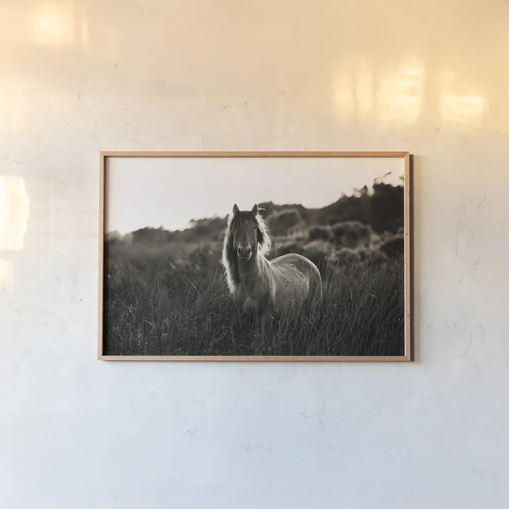 Evening Glow by Aledanda. shown as a paper print in a natural frame. Available as a archival giclee rolled canvas, fine art paper, or poster print. SKU 38298i.