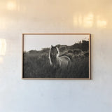 Evening Glow by Aledanda. shown as a paper print in a natural frame. Available as a archival giclee rolled canvas, fine art paper, or poster print. SKU 38298i.