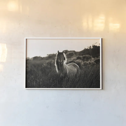 Evening Glow by Aledanda. shown as a paper print in a white frame. Available as a archival giclee rolled canvas, fine art paper, or poster print. SKU 38298i.