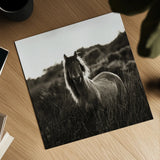 Evening Glow Crop by Aledanda. Shown as a detailed flat fine art print, highlighting archival giclee quality. Available as an archival giclee rolled canvas, fine art paper, or poster print. SKU 38298a.