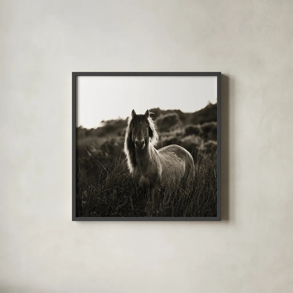 Evening Glow Crop by Aledanda. Shown in a sleek black glass frame for a contemporary gallery look. Available as an archival giclee rolled canvas, fine art paper, or poster print. SKU 38298a.