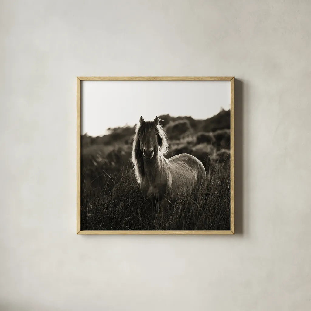 Evening Glow Crop by Aledanda. Shown in a natural wood glass frame for a timeless modern aesthetic. Available as an archival giclee rolled canvas, fine art paper, or poster print. SKU 38298a.