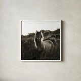 Evening Glow Crop by Aledanda. Shown in a crisp white glass frame for a clean and minimalist style. Available as an archival giclee rolled canvas, fine art paper, or poster print. SKU 38298a.