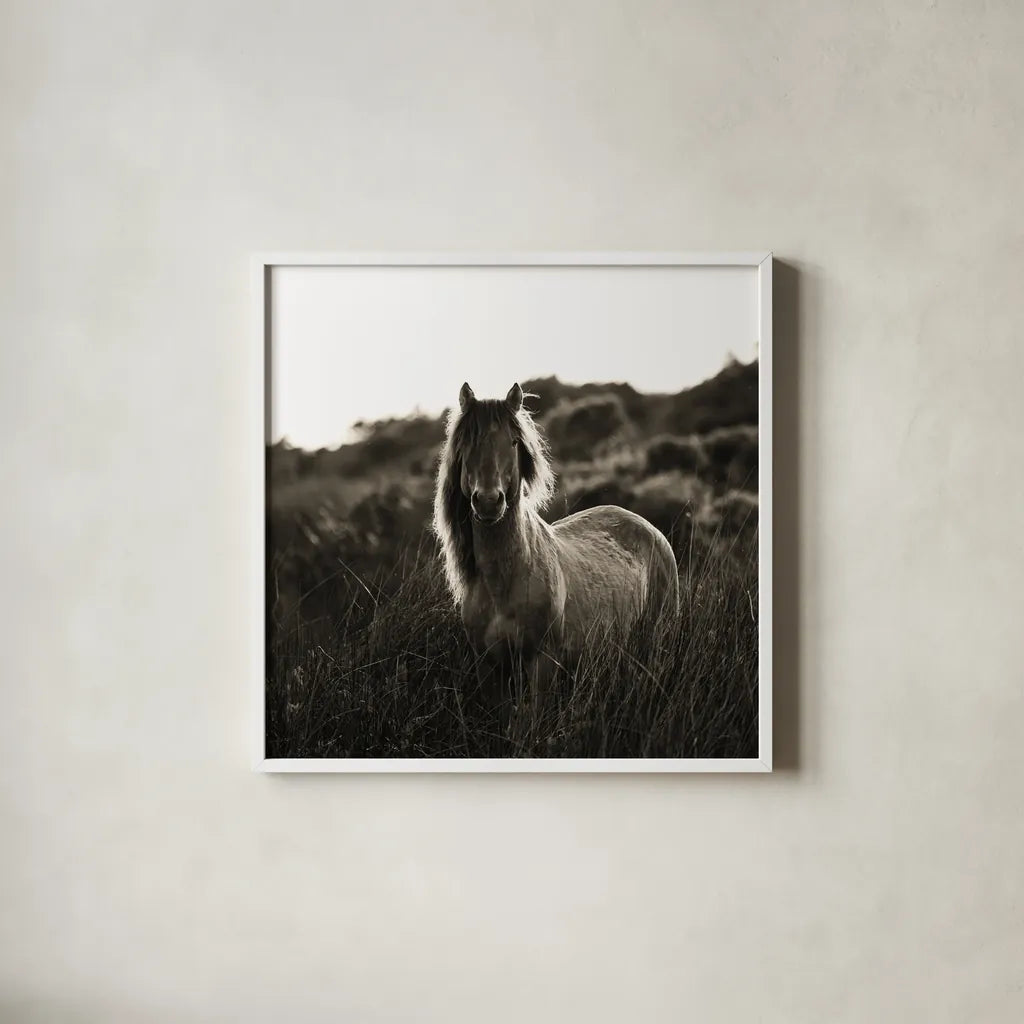 Evening Glow Crop by Aledanda. Shown in a crisp white glass frame for a clean and minimalist style. Available as an archival giclee rolled canvas, fine art paper, or poster print. SKU 38298a.
