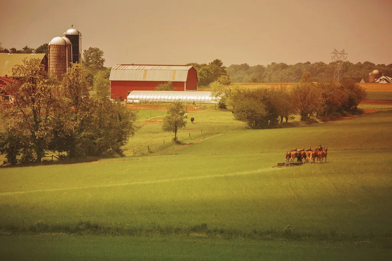 Fall Farm by Aledanda. SKU 38288i. Archival Giclee Fine art print for wall decor.