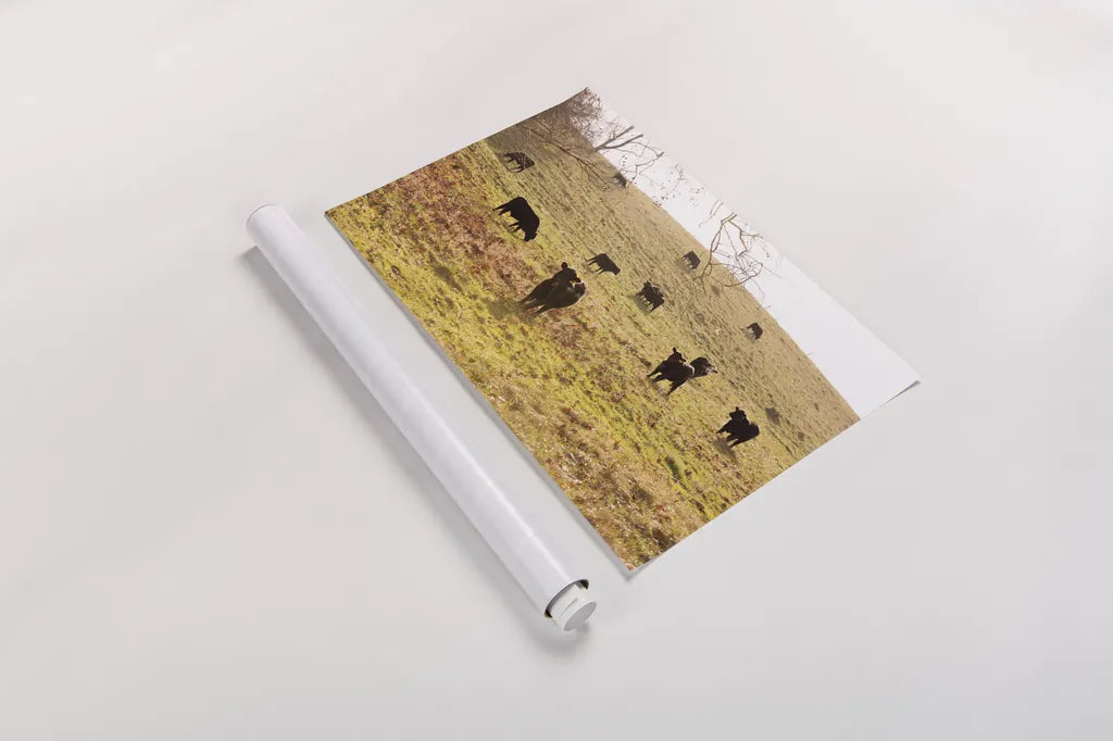 Fall Field I by Aledanda. shown as a rolled paper print. Available as archival giclee rolled canvas, fine art paper, or poster print. SKU 38283i.