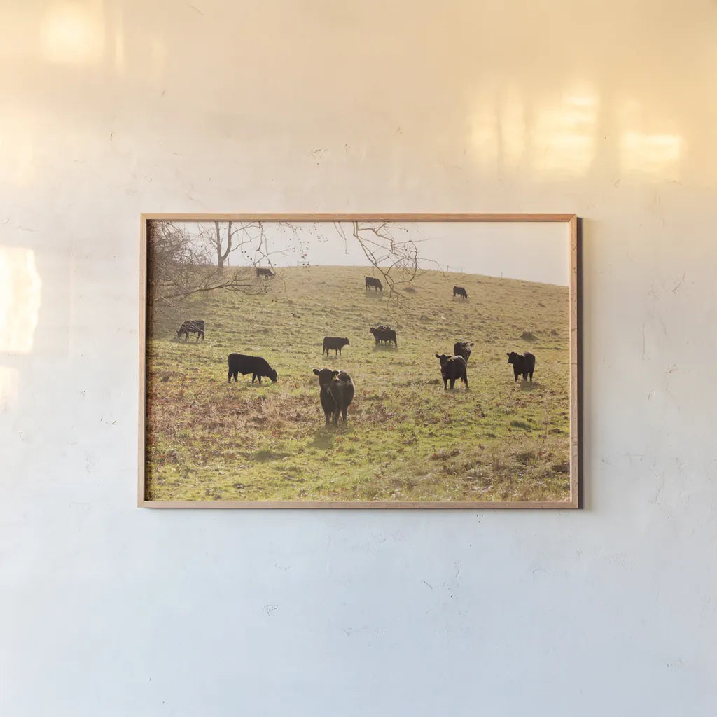 Fall Field I by Aledanda. shown as a paper print in a natural frame. Available as a archival giclee rolled canvas, fine art paper, or poster print. SKU 38283i.