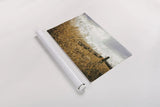 Fencerow by Aledanda. shown as a rolled paper print. Available as archival giclee rolled canvas, fine art paper, or poster print. SKU 63226i.